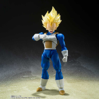 Super Saiyan Vegeta -Awakened Super Saiyan Blood- 2