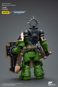 Salamanders Bladeguard Veteran 5