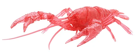 Fujimi [FI No.24 EX-4]  Biology Edition Crayfish (Clear Red) - Original Series