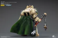 JOYTOY Dark Angels Deathwing Knight Master with Flail of the Unforgiven - Warhammer 40K - photo 5