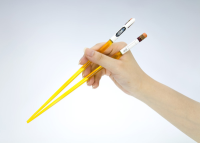 Chopsticks - Evangelion - Rei Ayanami 3