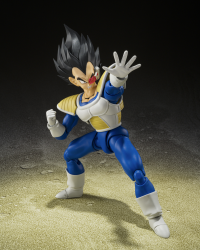 VEGETA -24000 POWER LEVEL- "Dragon Ball Z", TAMASHII NATIONS S.H.Figuarts (P-Bandai Exclusive) 4