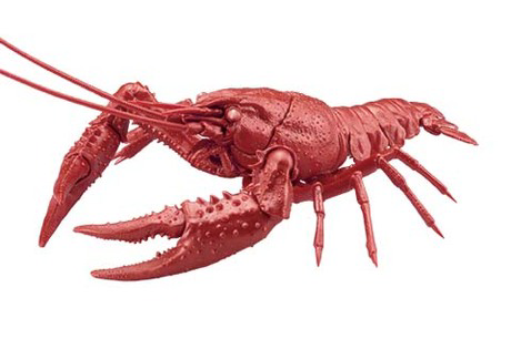 [FI No.24 EX-6]  Biology Edition Crayfish (Metallic Red)