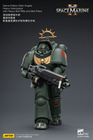 Game Edition Dark Angels Heavy Intercessor with Heavy Bolt Rifle and Bolt Pistol 21
