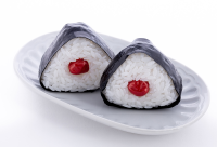Onigiri Plastic Model 6