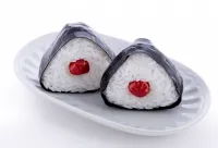 Syuto Seiko Onigiri Plastic Model - Scale Kits - photo 6
