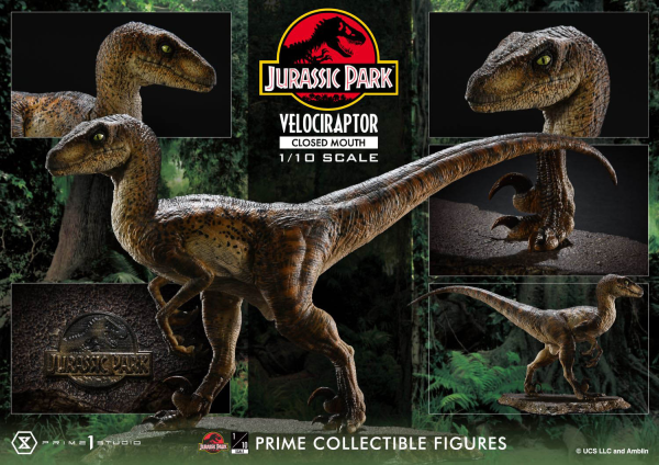 Prime Collectible Figures  Jurassic Park (Film)  Velociraptor  Closed Mouth