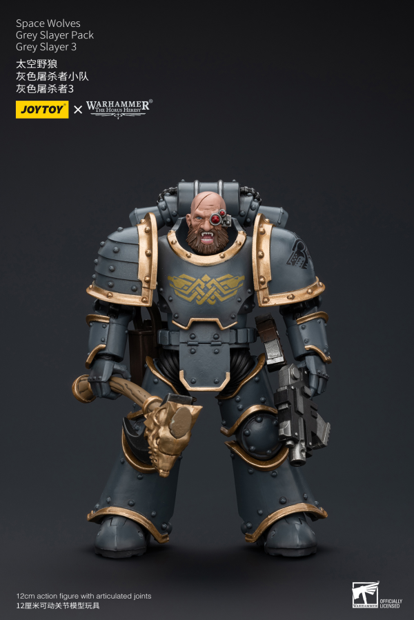 Space Wolves Grey Slayer Pack Grey Slayer3
