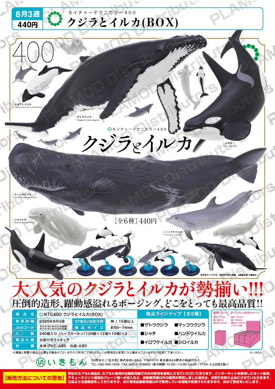 NTC400 Whales & Dolphins (BOX)