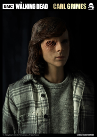 The Walking Dead - 1/6 Carl Grimes (Standard Edition) 8
