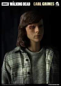 threezero The Walking Dead - 1/6 Carl Grimes (Standard Edition) - The Walking Dead - photo 8