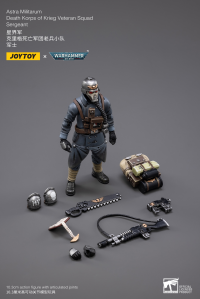 Astra Militarum Death Korps of Krieg Veteran Squad Sergeant 2