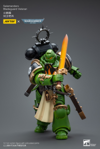 Salamanders Bladeguard Veteran 2