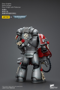 Grey Knights Strike Squad Grey Knight with Psilencer 6