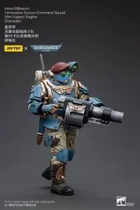 JOYTOY Astra Militarum Tempestus Scions Command Squad 55th Kappic Eagles Grenadier - Warhammer 40K - photo 6