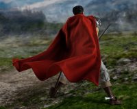 GUTS (THE BAND OF THE HAWK) "BERSERK", TAMASHII NATIONS S.H.Figuarts 8