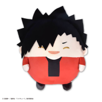 Haikyu!! FUWA KORORIN M SIZE SPECIAL (D) 1