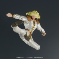 DIGACTION "Fist of the North Star" SHIN＆HEART 15