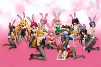 FREEing Ryoko Mikado: Bunny Ver. - To LOVE-Ru - photo 9