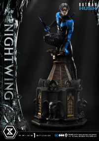 Museum Masterline Batman: Hush (Comics) Nightwing 24