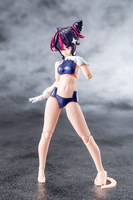 DESIRE MAIDEN RAIDER 9