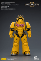Game Edition Imperial Fists Heavy Intercessor with Heavy Bolt Rifle and Bolt Pistol 12