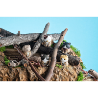 MEGA CAT PROJECT Attack on Titan Attack on Tinyan  Gathering Scout Regiment danyan (Repeat）(1pc / 8pc per box) 12
