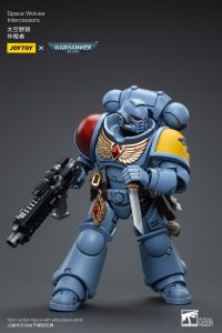 Space Wolves Intercessors 8