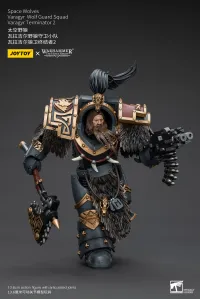 JOYTOY Space Wolves Varagyr Wolf Guard Squad Varagyr Terminator 2 - Warhammer 40K - photo 9