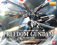 MG ZGMF-X10A Freedom Gundam Extra Finish 1