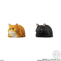 Mocchiri Kororin Cats  (Box/12), Bandai Shokugan Mocchiri Kororin 3