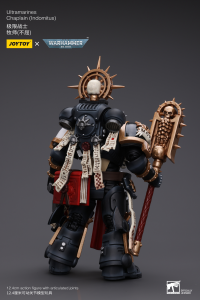 Ultramarines Chaplain(Indomitus) 4