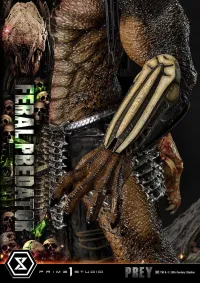 Prime 1 Studio Museum Masterline Prey Feral Predator Deluxe Version - Live Action Movies/TV - photo 6
