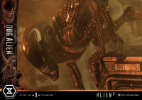 Museum Masterline XL Alien 3 (Film) Dog Alien			 17
