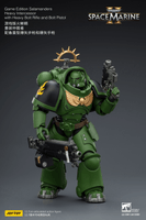 Game Edition Salamanders Heavy Intercessor with Heavy Bolt Rifle and Bolt Pistol 19