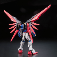 RG 1/144 #11 Destiny Gundam 9