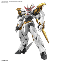 HG Amplified IMGN RYUOUMARU 1
