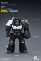 Raven Guard Terminator 2 with Power Fist and Storm Bolter 4