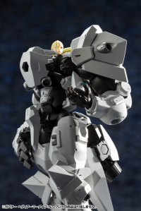 GOVERNOR HEAVY ARMOR TYPE: ROOK 23