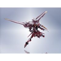 METAL ROBOT SPIRITS SIDE MS JUSTICE GUNDAM 9