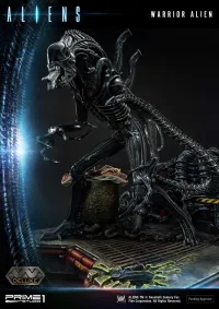 Prime 1 Studio Premium Masterline Aliens (Comics) Warrior Alien DX Bonus Version - Alien (Movie Franchise) - photo 82