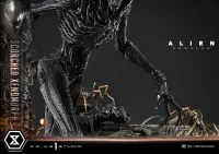 Prime 1 Studio Museum Masterline XL Alien: Romulus Scorched Xenomorph - Alien (Movie Franchise) - photo 20