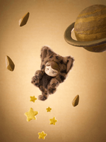 Planet Cat Wishing Star Series 5