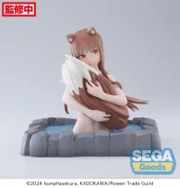 SEGA Thermae Utopia "Spice and Wolf: MERCHANT MEETS THE WISE WOLF" "Holo" - Spice and Wolf - photo 7