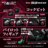 RMZ-005 Molga Guylos Color 8