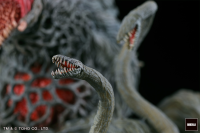 BIOLLANTE 5