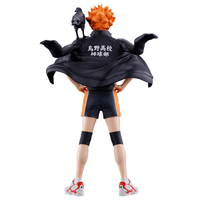 Shoyo Hinata (The Future of Karasuno) 7