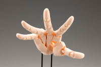 ARTIST SUPPORT ITEM HAND MODEL/L -PALE ORANGE- 6