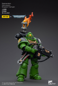 Salamanders Intercessors Sergeant Tsek'gan 4