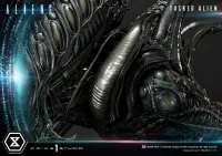 Prime 1 Studio Premium Masterline Aliens (Comics) Tusked Alien Bonus Version - Alien (Movie Franchise) - photo 13
